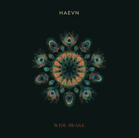 WIDE AWAKE
