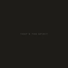 Bring me the horizon, Vinyl That's the Spirit