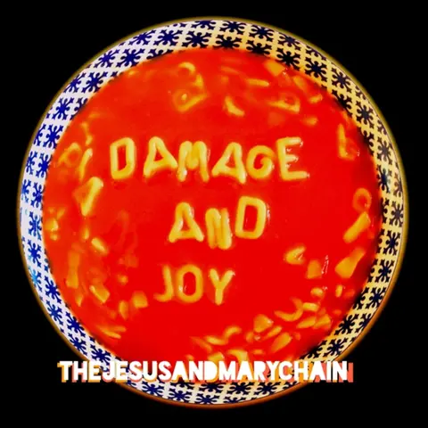 DAMAGE AND JOY