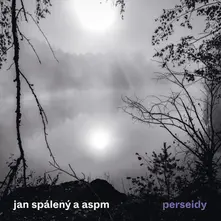 Vinyl Perseidy