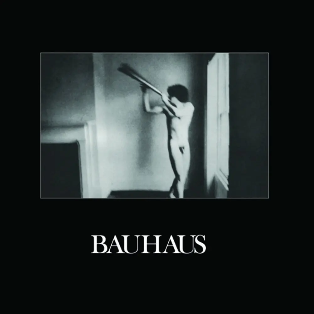 Bauhaus – IN THE FLAT FIELD (Vinyl)