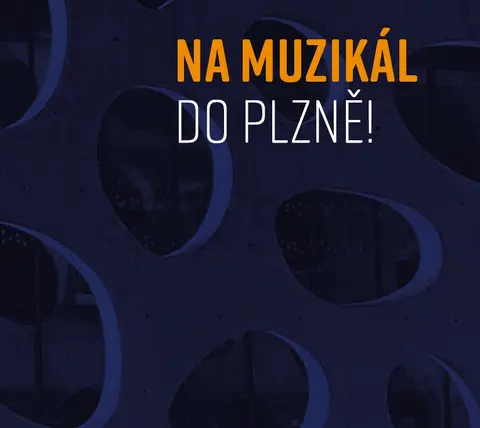 Various Artists – CD Na muzikál do Plzne!