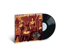 Vinyl DIARY OF A MAD BAND