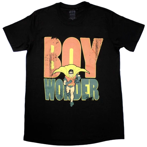 Batman Robin Boy Wonder