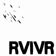 Vinyl RVIVR