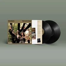 Belle and Sebastian, Vinyl WHAT TO LOOK FOR IN SUMMER