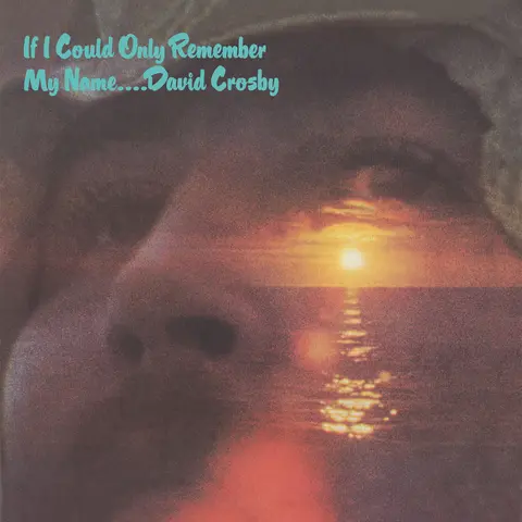 IF I COULD ONLY REMEMBER MY NAME
