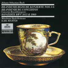 CD BRANIBORSKE KONCERTY 1-6