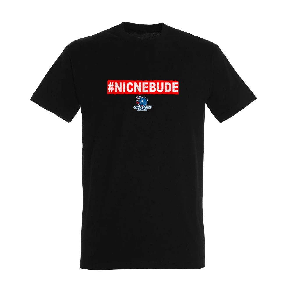 #NICNEBUDE