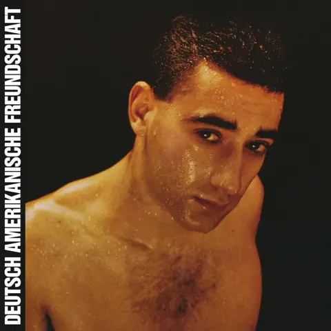 Deutsch Amerikanische Freundschaft – Vinyl ALLES IST GUT