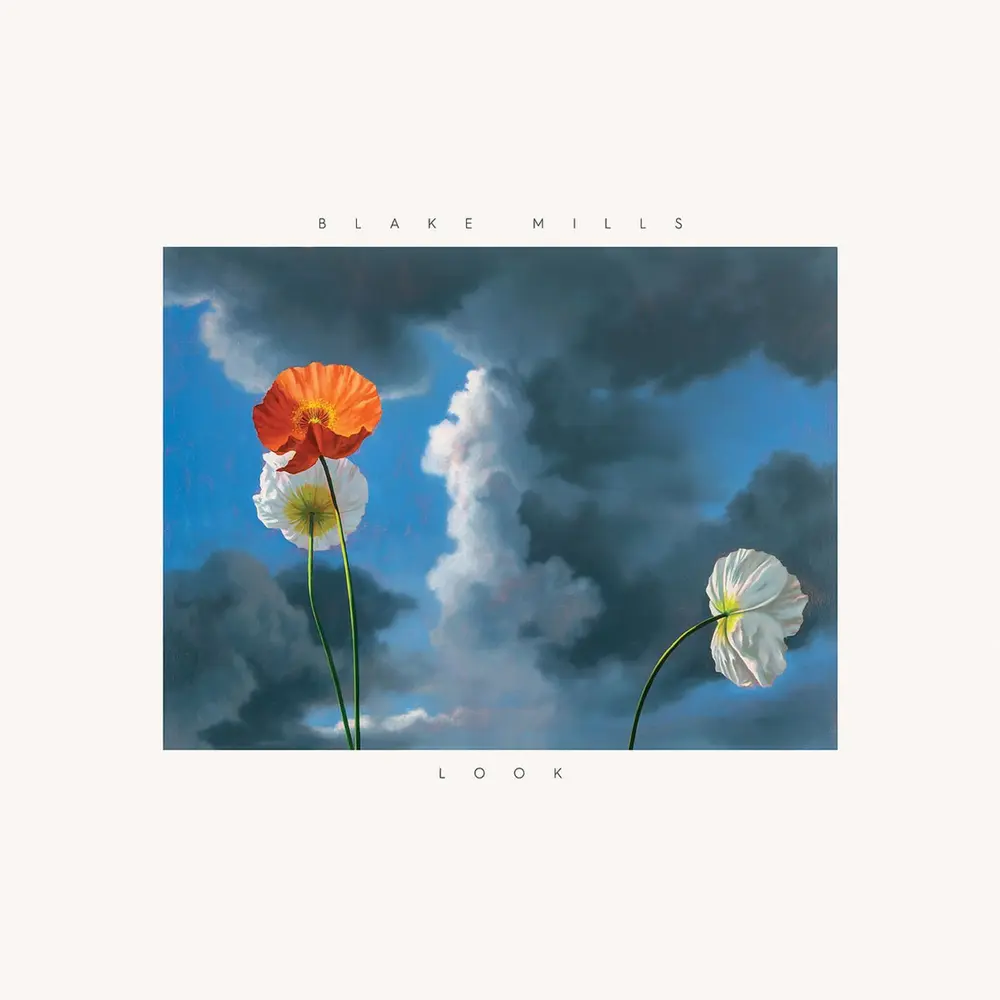 BLAKE MILLS – LOOK (Vinyl)