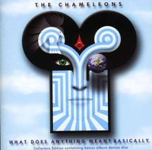 The Chameleons, CD CHAMELEONS - WHAT DOES ANYTHING MEAN