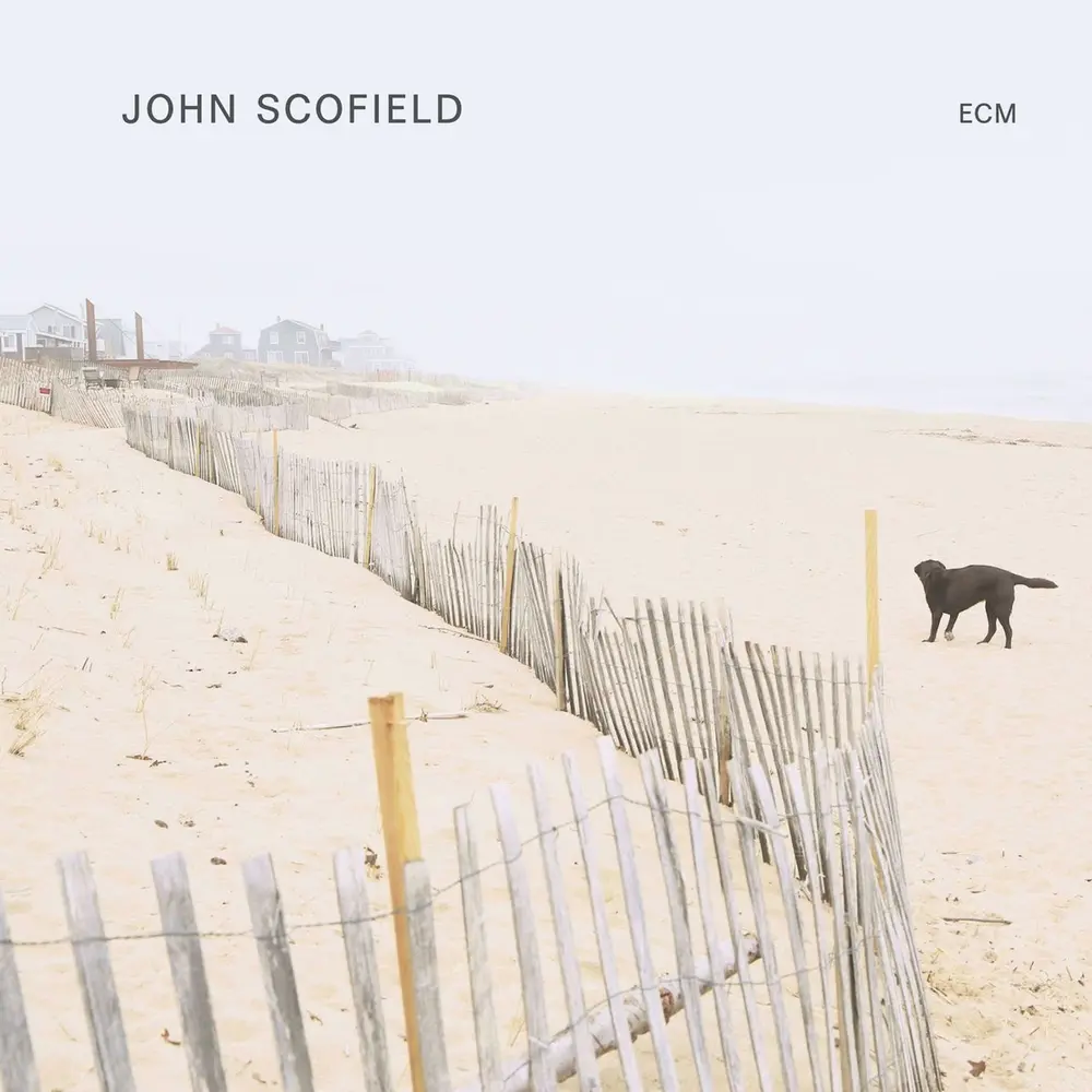 JOHN SCOFIELD (Vinyl)