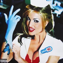 Blink 182, Vinyl Enema Of The State