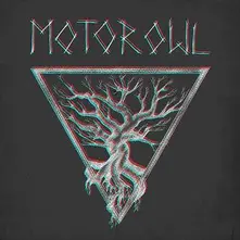 Motorowl, CD Om Generator