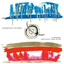 Asymmetric Universe, Vinyl A Memory and What Came After