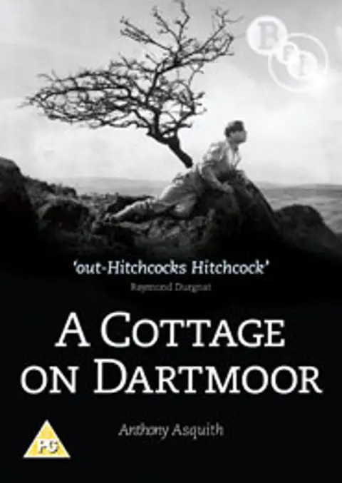 COTTAGE ON DARTMOOR
