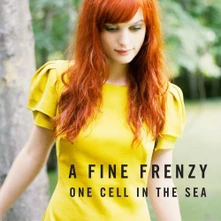 A Fine Frenzy, CD ONE CELL IN THE SEA
