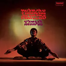 Vinyl KARMA