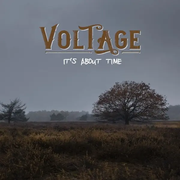 Voltage – IT'S ABOUT TIME (Vinyl)