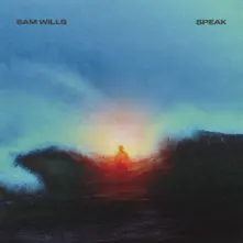 Sam Wills, Vinyl Speak