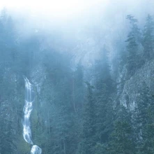 Wolves in the Throne Room, Vinyl Wolves In the Throne Room - Diadem of 12 Stars