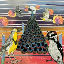 Jaimie Branch – FLY OR DIE FLY OR DIE FLY OR DIE ((WORLD WAR)) (Vinyl)