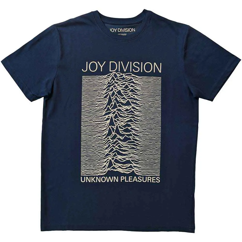 Unknown Pleasures FP