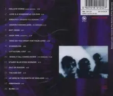 The Icicle Works – BEST OF (CD)
