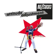 Vinyl ATTITUDE ADJUSTMENT