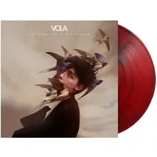 Vinyl FRIEND OF A PHANTOM
