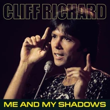 Vinyl Me And My Shadows
