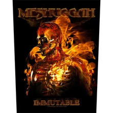 Meshuggah, Nažehlovačka Immutable