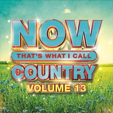 Jeff Kite, CD NOW THAT'S WHAT I CALL COUNTRY VOLUME 13