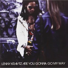Lenny Kravitz, CD ARE YOU GONNA MY WAY