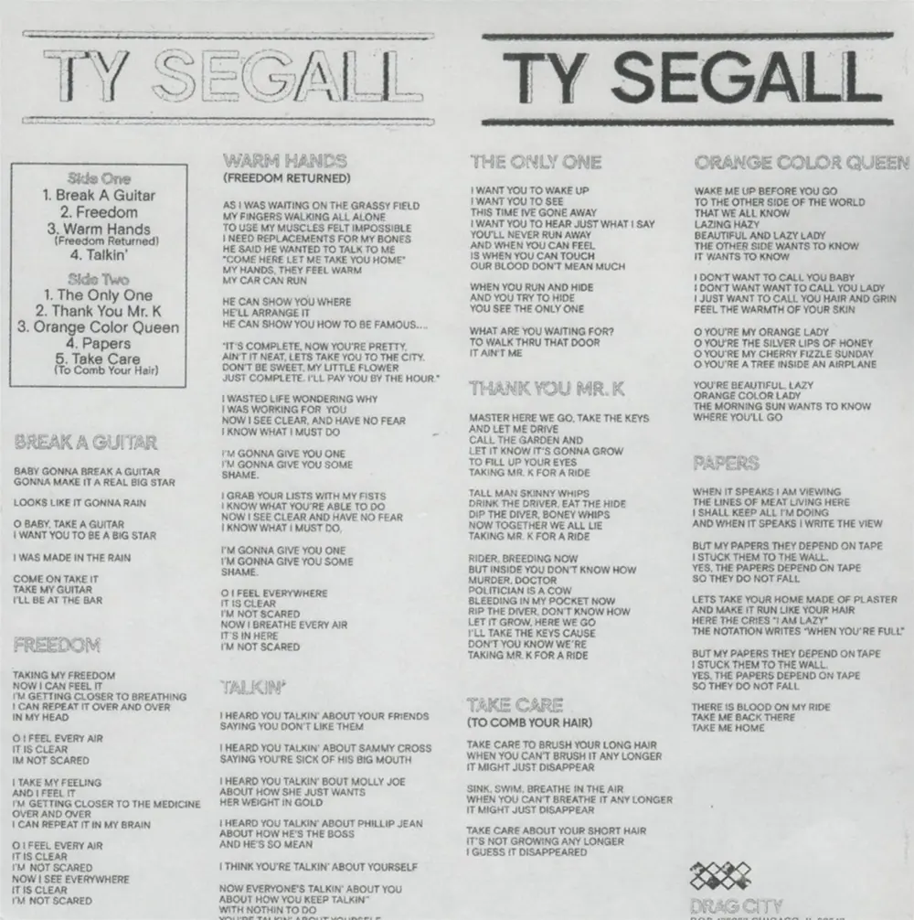 TY SEGALL