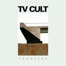 Vinyl INDUSTRY