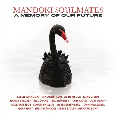 Mandoki Soulmates – Vinyl A Memory of Our Future