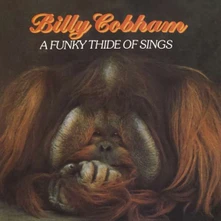 Billy Cobham, CD A FUNKY THIDE OF SINGS