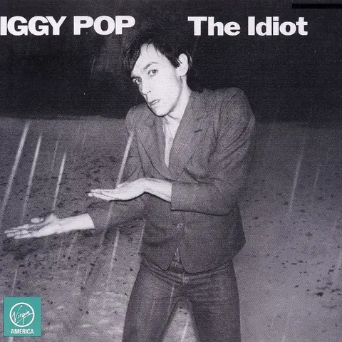 THE IDIOT