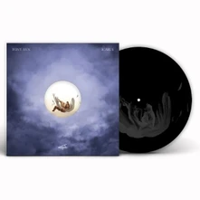 Vinyl ICARUS