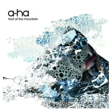 Vinyl Foot Of The Mountain