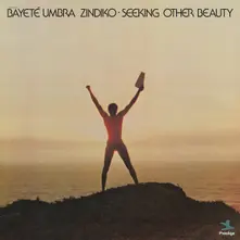 Vinyl SEEKING OTHER BEAUTY