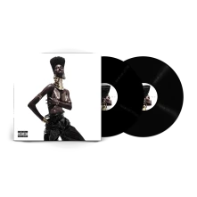 Vinyl The Album