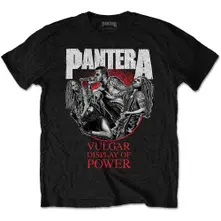 Vulgar Display of Power 30th thumbnail