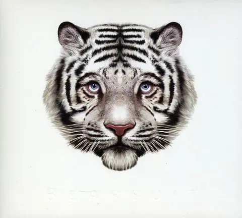 Bearsuit – CD PHANTOM FOREST