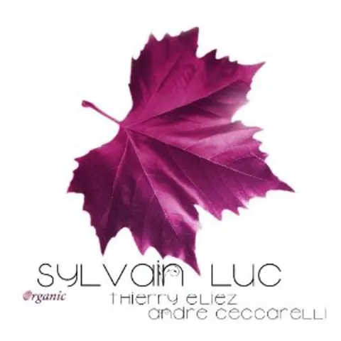 Sylvain Luc – CD ORGANIC