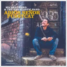 Vinyl ADIOS SENOR PUSSYCAT