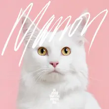 Vinyl MANON