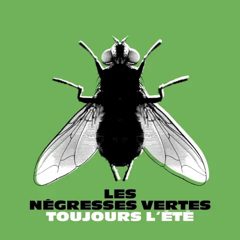 Les Négresses Vertes – Vinyl TOUJOURS L'ETE